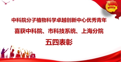 中科院分子植物卓越中心优秀青年喜获中科院、市科技系统、上海分院五四表彰