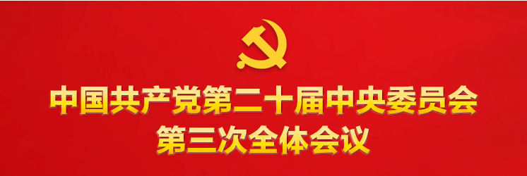 二十届三中全会专题